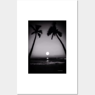 Blue Hawaii - Black And White Posters and Art